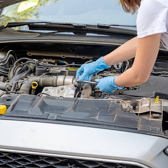engine cleaning
