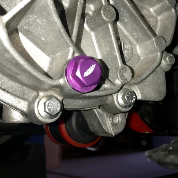 transmission plug